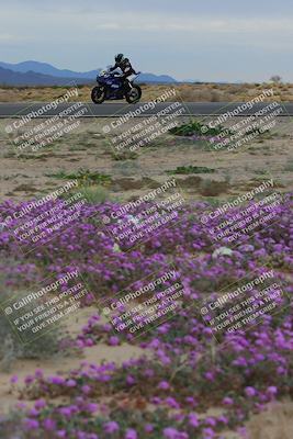 media/Jan-14-2023-SoCal Trackdays (Sat) [[497694156f]]/Turn 14 Exit Bloomig (145pm)/